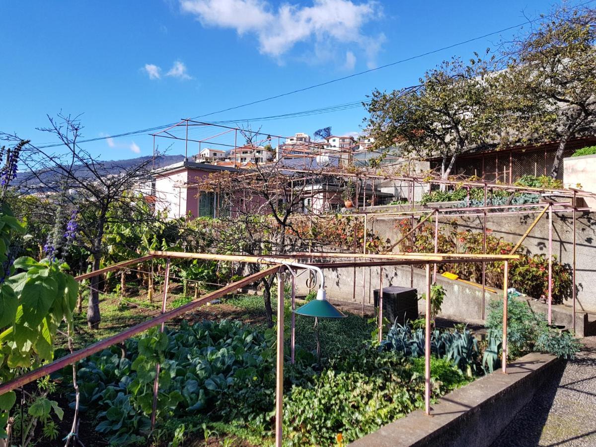 Quinta Do Bom Sucesso Apartment Фуншал Екстериор снимка